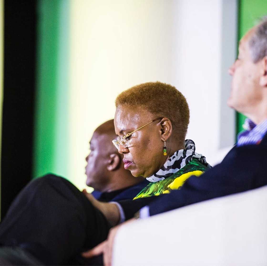 Lindiwe Zulu biography Lindiwe Zulu biography
