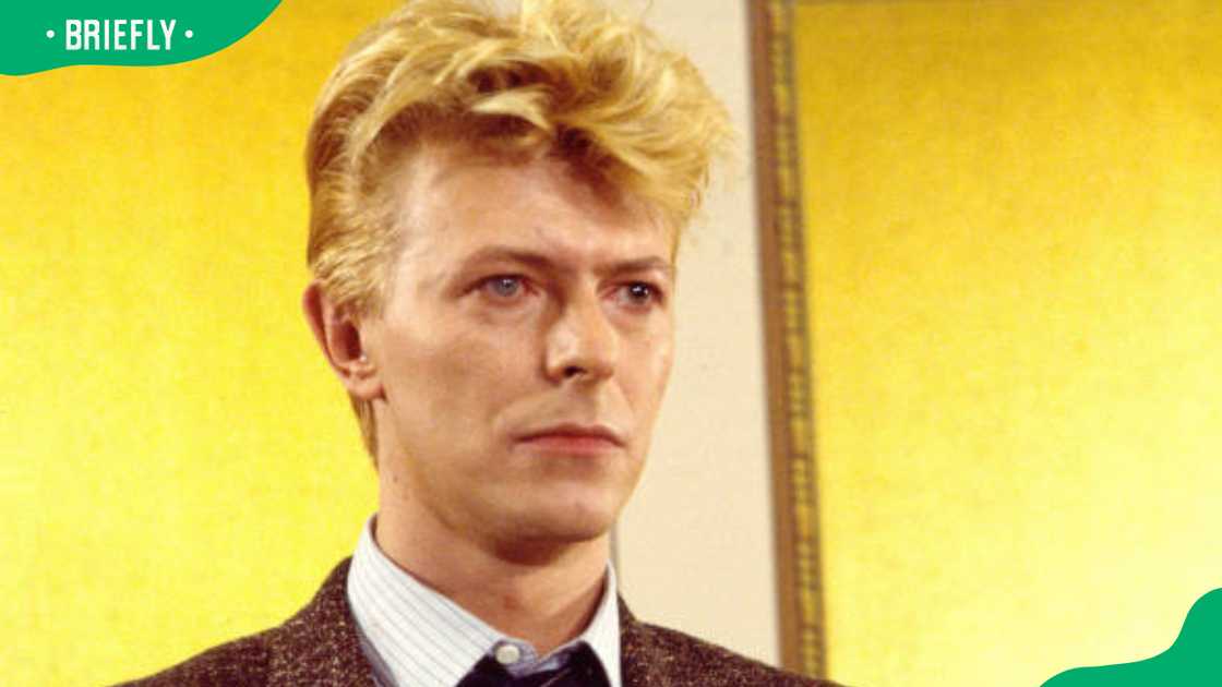 David Bowie at the Carlyle Hotel David Bowie at the Carlyle Hotel