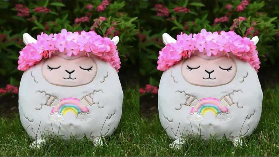 Blossom Squishmallow Blossom Squishmallow