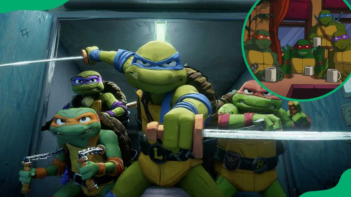 Teenage Mutant Ninja Turtles