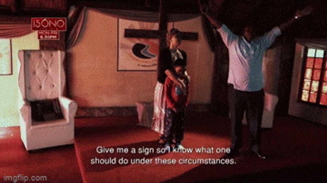 'Isono', Mary, Gabriel, Abednego, Mary manipulative 'Isono', Mary, Gabriel, Abednego, Mary manipulative