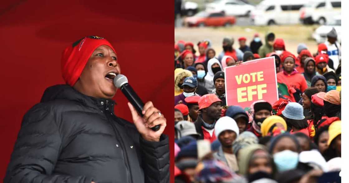 Julius Malema, EFF, Elections, Cape Town, Graduate allowance Julius Malema, EFF, Elections, Cape Town, Graduate allowance