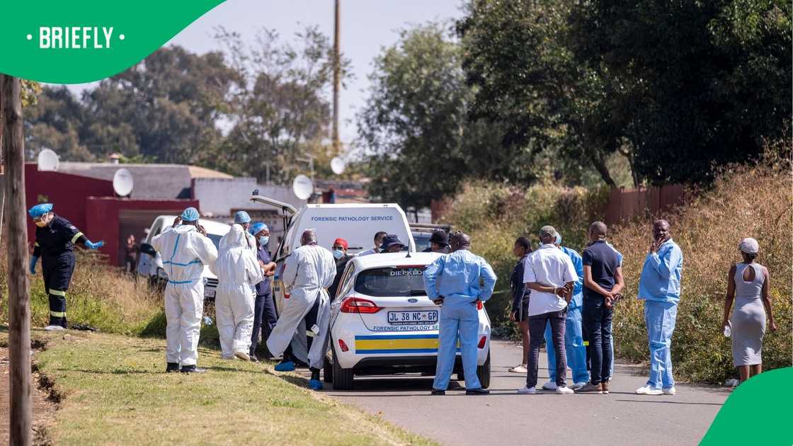 The incident happened at about 17:00 in Eloff The incident happened at about 17:00 in Eloff