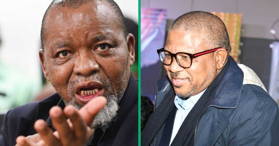 Gwede Mantashe was disappointed in Fikile Mbalula's statements about Zuma's swimming pool