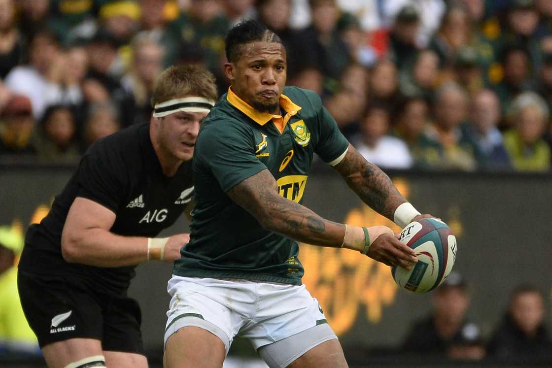 Springboks, South Africa, Elton Jantjies