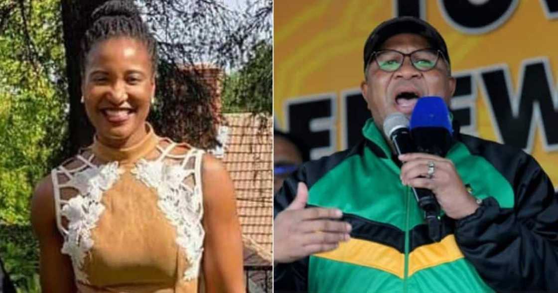 politics, ANC, minister, service delivery politics, ANC, minister, service delivery