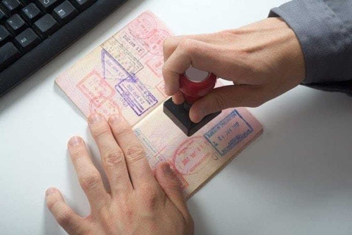 Dubai Visa