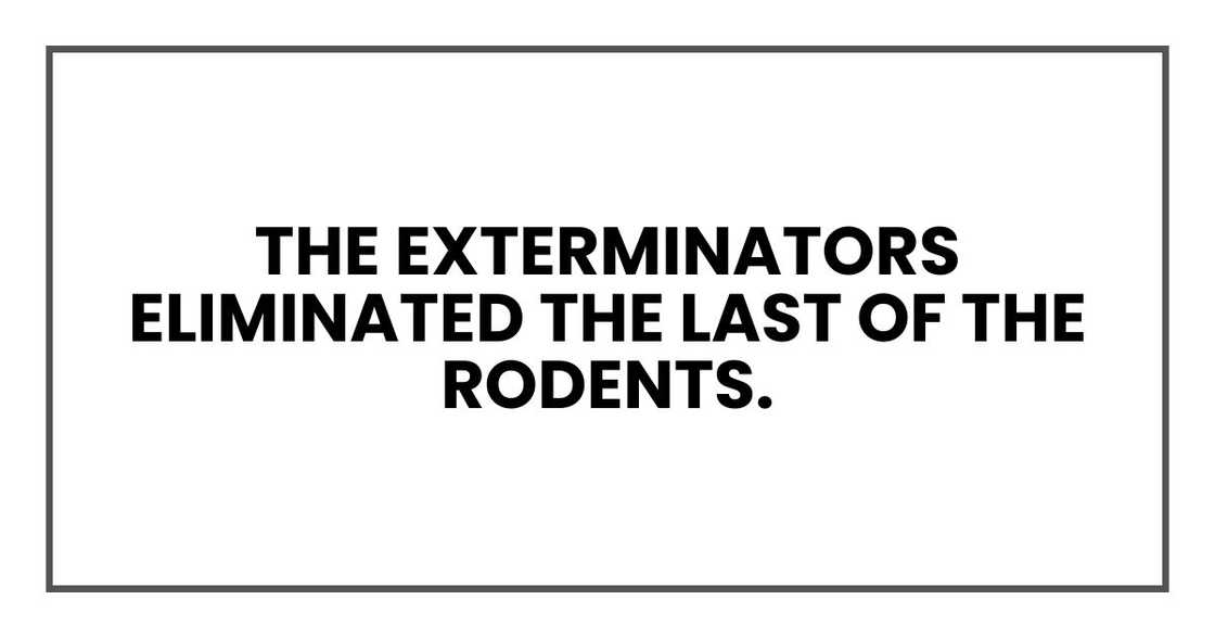 The exterminators eliminated the last of the rodents.