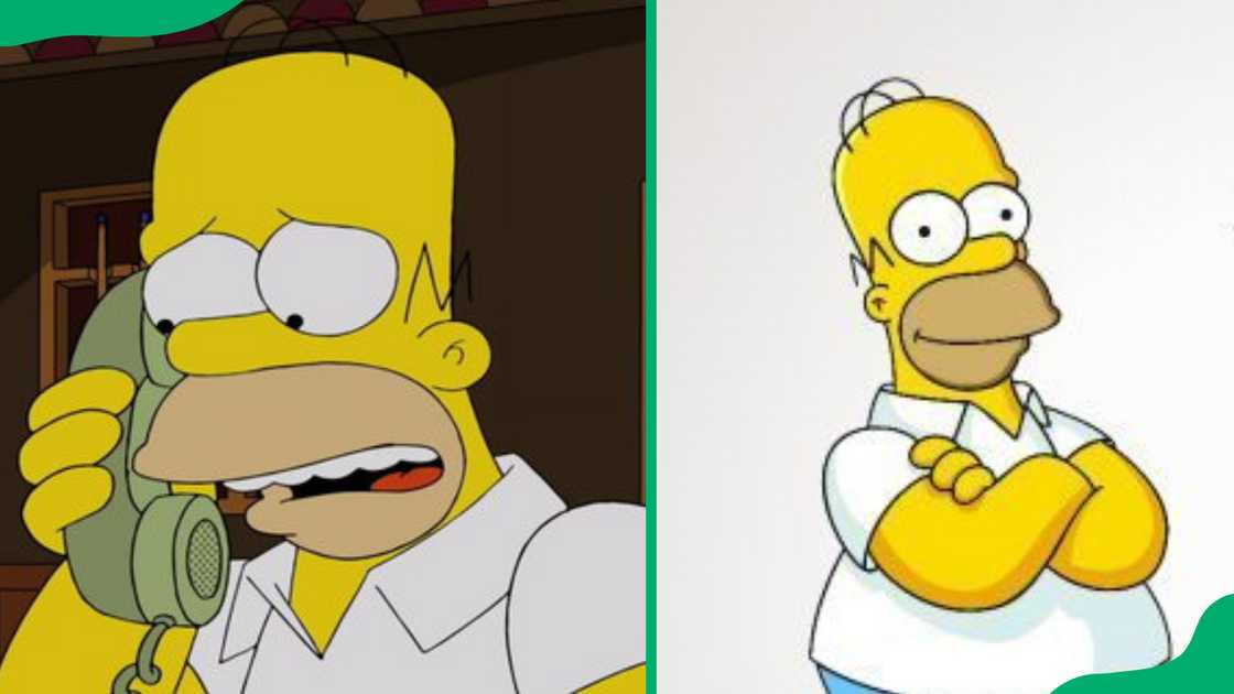 Homer Jay Simpson from The Simpsons. Homer Jay Simpson from The Simpsons.