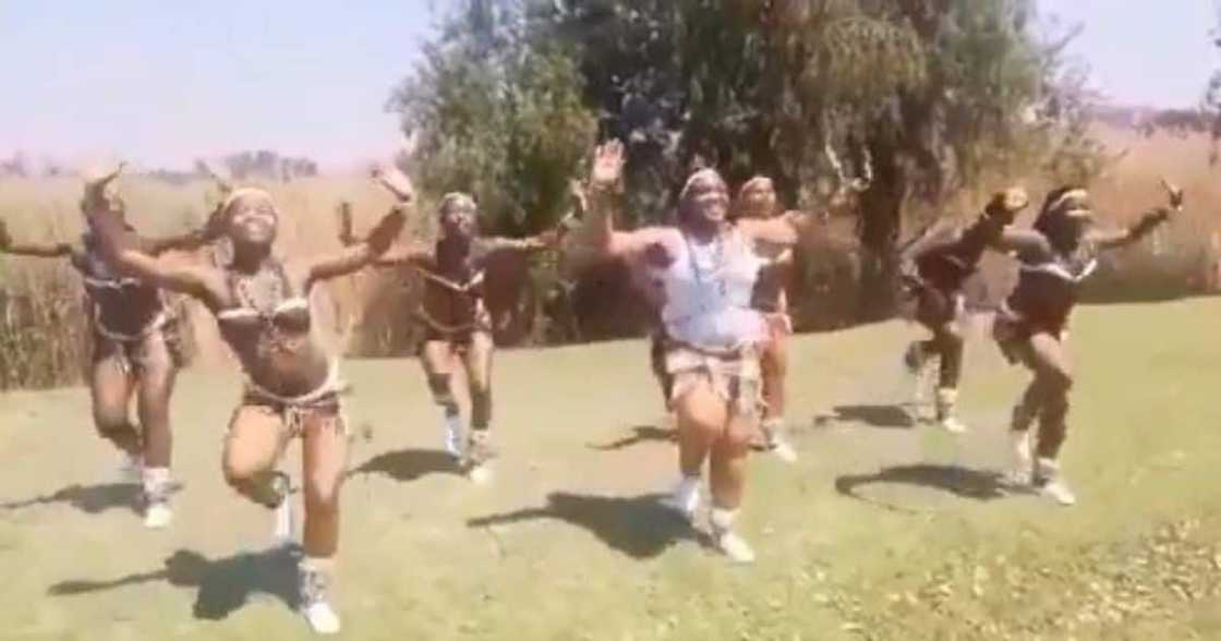 SA celebrates Heritage Day with #JerusalemaChallenge: Top 5 videos SA celebrates Heritage Day with #JerusalemaChallenge: Top 5 videos