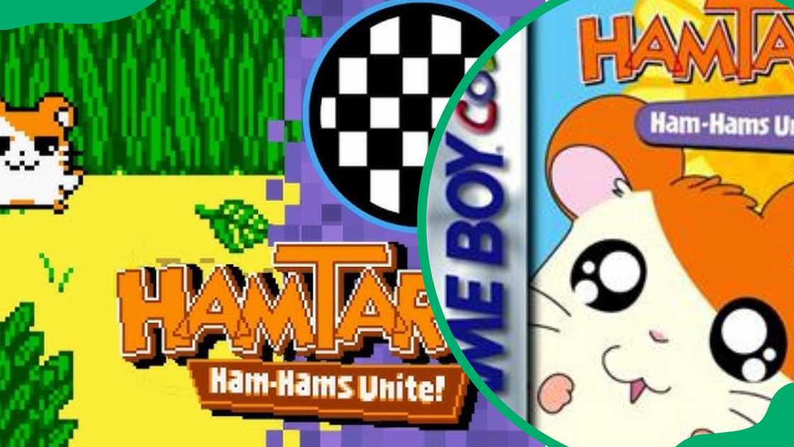 Hamtaro: Ham-Hams Unite! Hamtaro: Ham-Hams Unite!