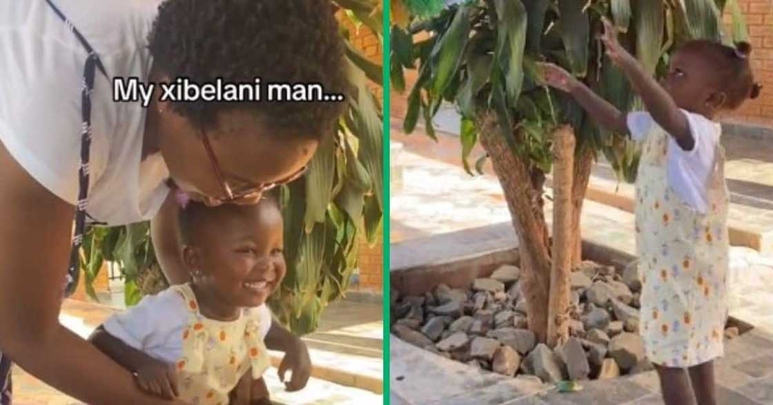 TikTok video of toddler's first xibelani TikTok video of toddler's first xibelani