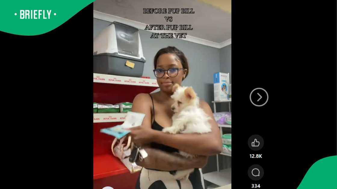 A woman complains about vet fees. A woman complains about vet fees.