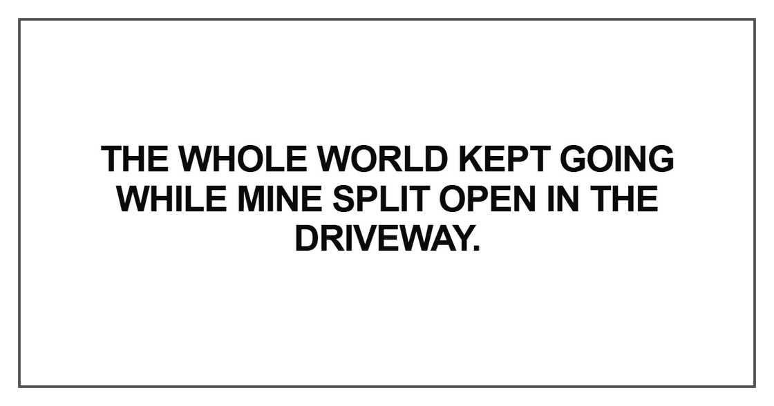 The whole world kept going while mine split open in the driveway