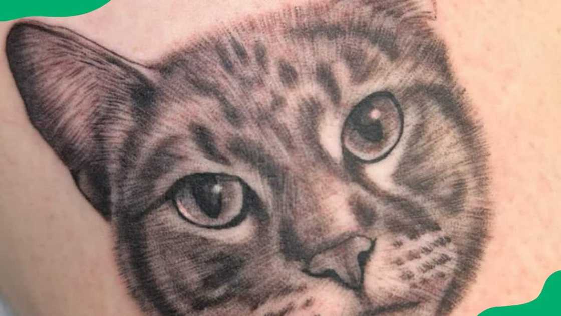 Big stretch tattoo Big stretch tattoo