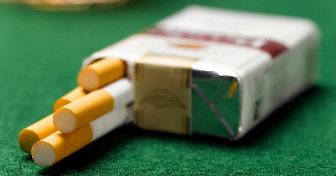 South Africans, Views, Ban, Cigarettes, New Zealand, Social media, Tax South Africans, Views, Ban, Cigarettes, New Zealand, Social media, Tax