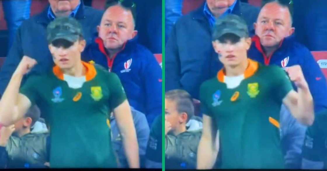 Springbok fan dances stiffly in video Springbok fan dances stiffly in video