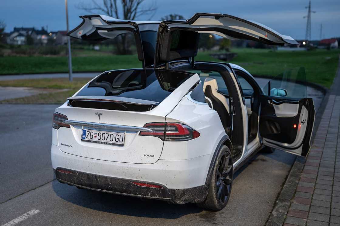 White Tesla Model X with open falcon-wing doors parked near a grassy field at dusk. White Tesla Model X with open falcon-wing doors parked near a grassy field at dusk.