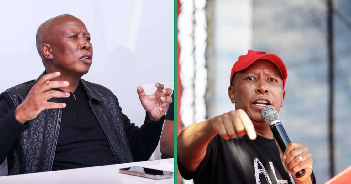 Julius Malema promised the coloured community equal opportunities Julius Malema promised the coloured community equal opportunities