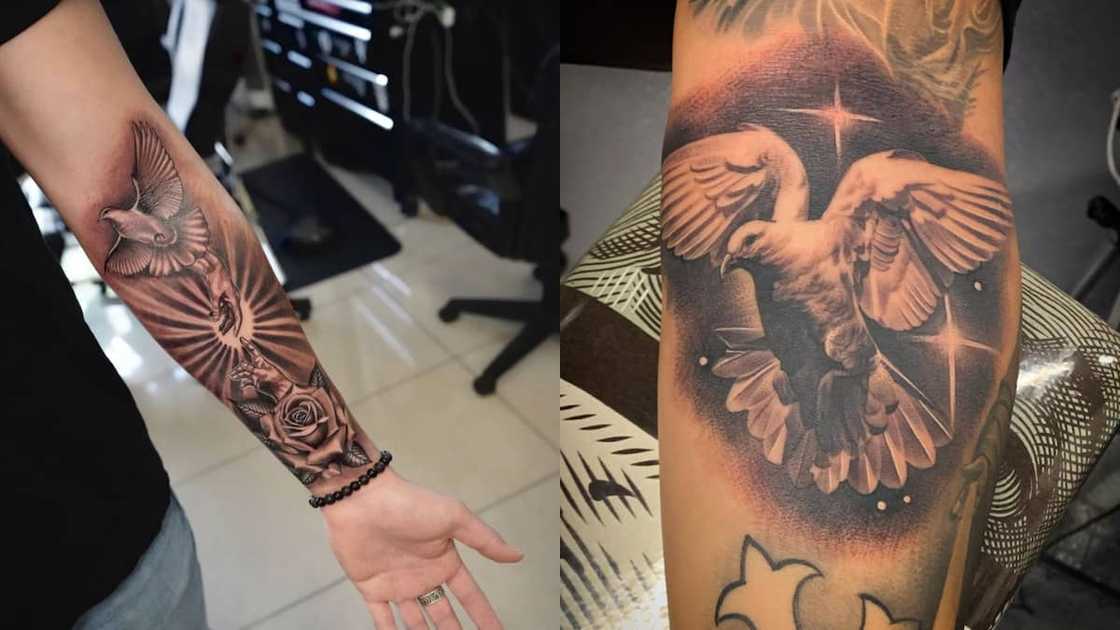 Dove tattoo Dove tattoo