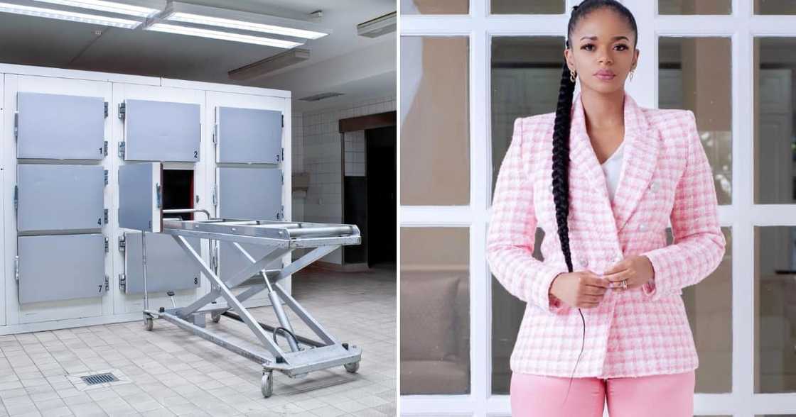 Police scramble to figure out the cause of death of bodies linked to Thabo Bester's infamous escape Police scramble to figure out the cause of death of bodies linked to Thabo Bester's infamous escape