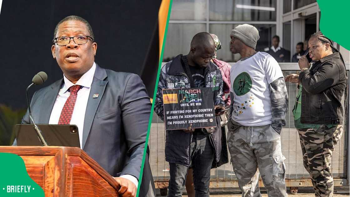 Gauteng Premier Panyaza Lesufi weighed in on foreign nationals in the country's healthcare system