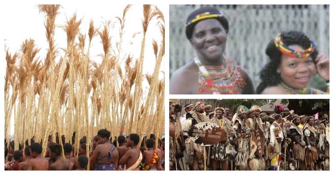 Gogo: ‘Being a virgin is the sweetest way of being sure I’m safe’