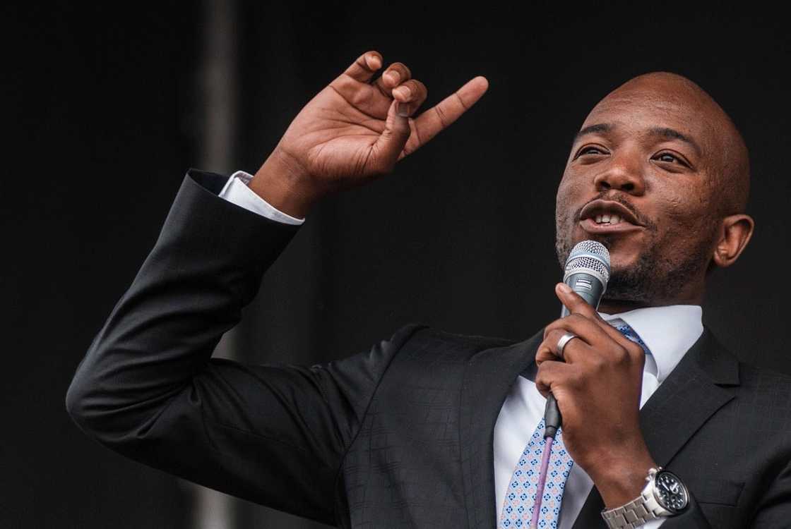 Mmusi Maimane, social media, 'Anaconda, etv, movie Mmusi Maimane, social media, 'Anaconda, etv, movie