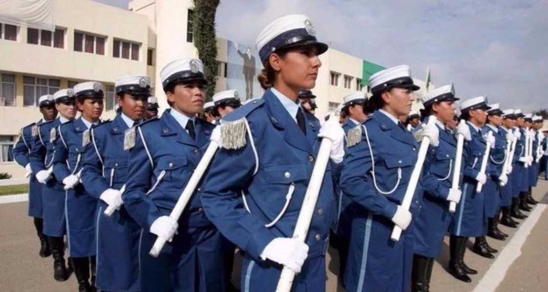 Top 10 best police forces in Africa Top 10 best police forces in Africa