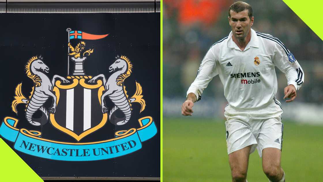 Newcastle United once had the chance to sign Zinedine Zidane but turned him down because they deemed him not 'fit for purpose'.