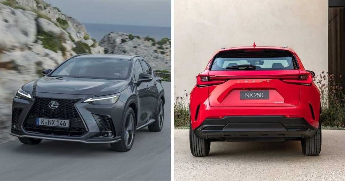 Lexus Launches Lux NX SUV in Mzansi, We Have Pricing and Specifications Lexus Launches Lux NX SUV in Mzansi, We Have Pricing and Specifications
