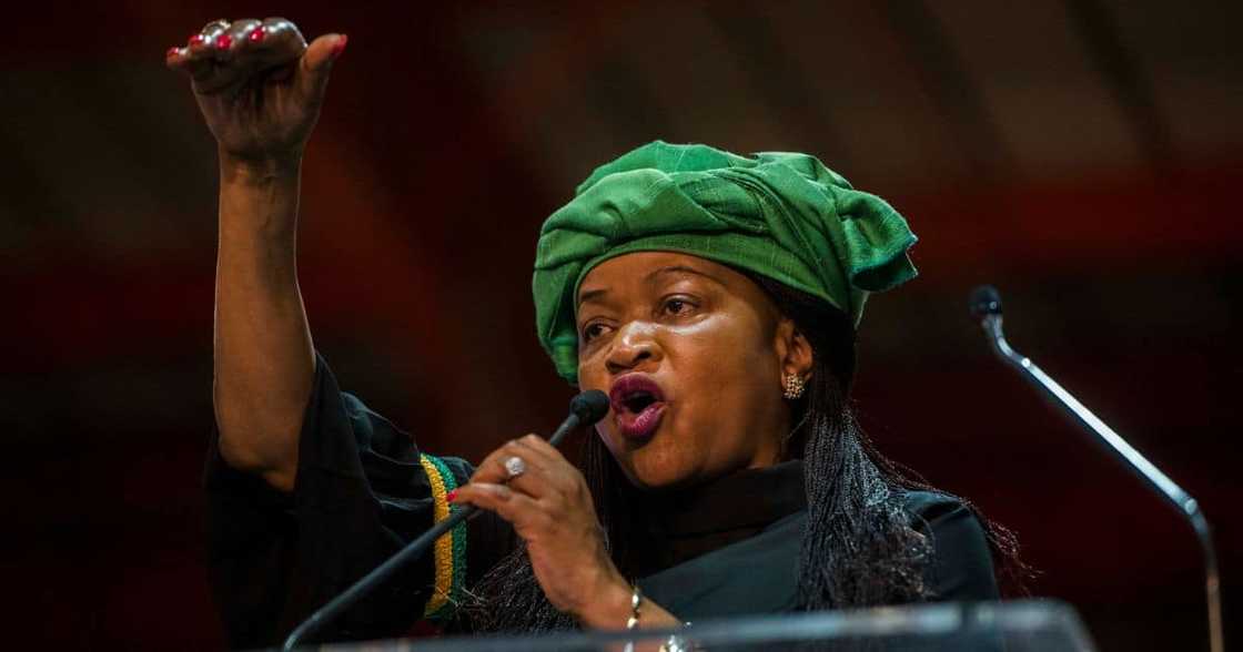 ANC, appoints, Baleka Mbete, women's league, task team