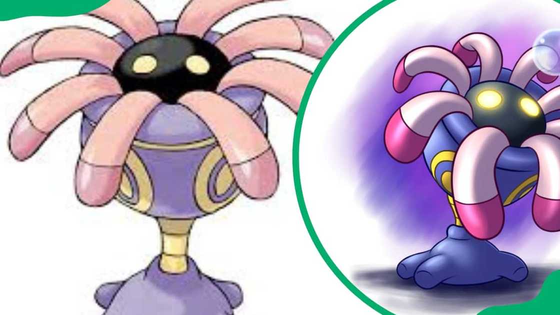 Lileep Pokemon Lileep Pokemon