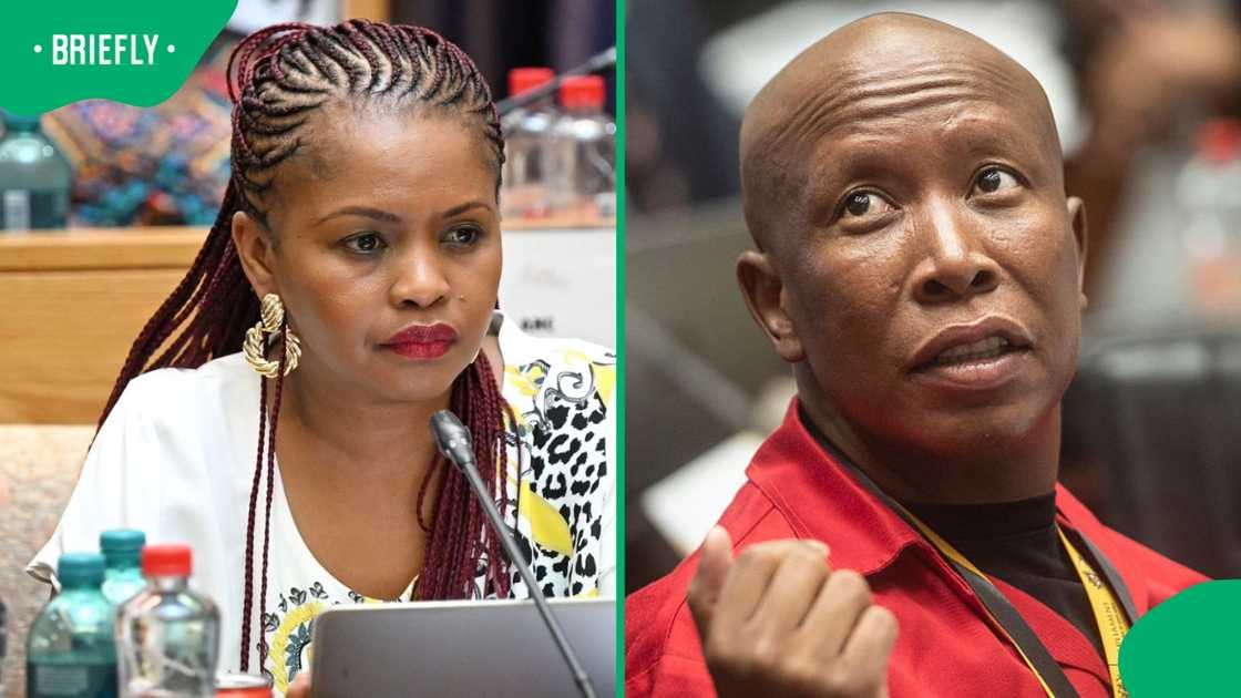 Julius Malema and ANC MP Khusela Diko clashed during a meeting of the Ad Hoc Committee Julius Malema and ANC MP Khusela Diko clashed during a meeting of the Ad Hoc Committee