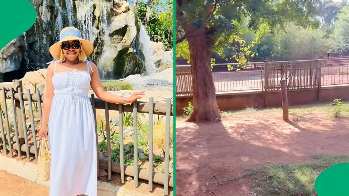 A woman shared visuals of her trip to the Pretoria Zoo A woman shared visuals of her trip to the Pretoria Zoo