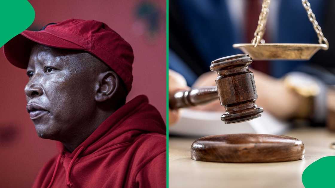 Julius Malema will return to the Eastern Cape for his gun discharging case