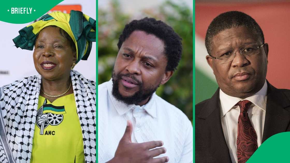 Mbuyiseni Ndlozi dragged into Fikile Mbalula's legal battle with Nkosazana Dlamini-Zuma