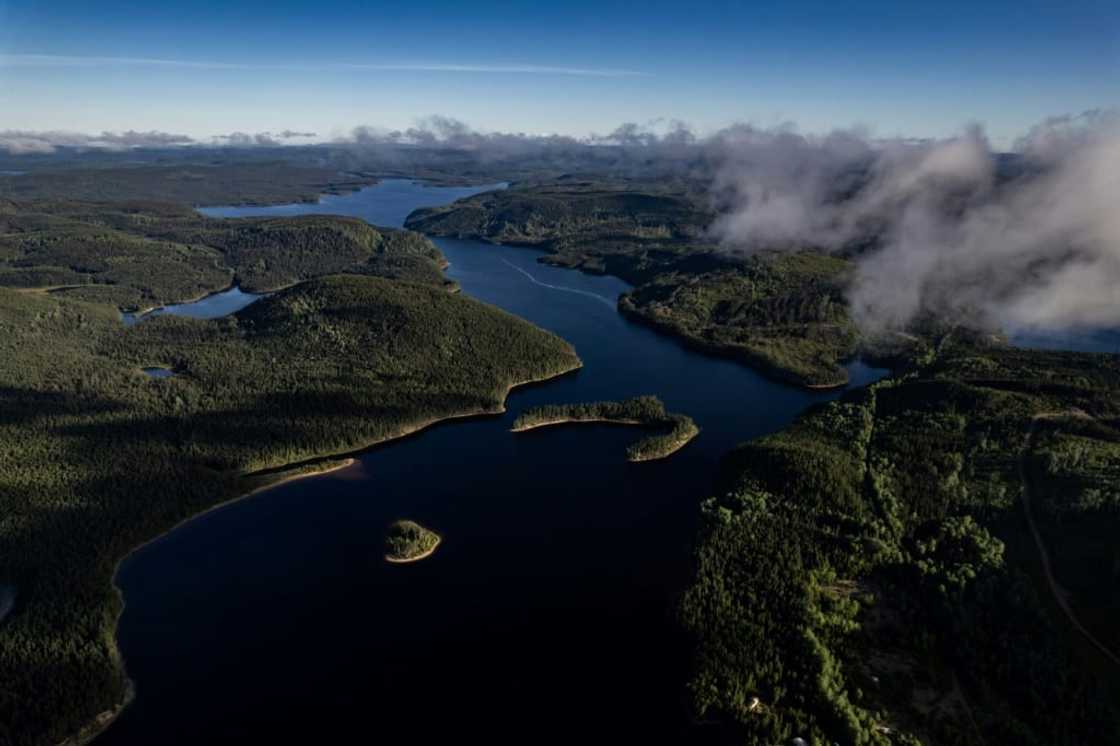 Scientists are pondering whether the boreal forest is approaching a so-called 'tipping point,' a threshold beyond which carbon and methane emissions are inevitable and changes to the ecosystem are irreversible