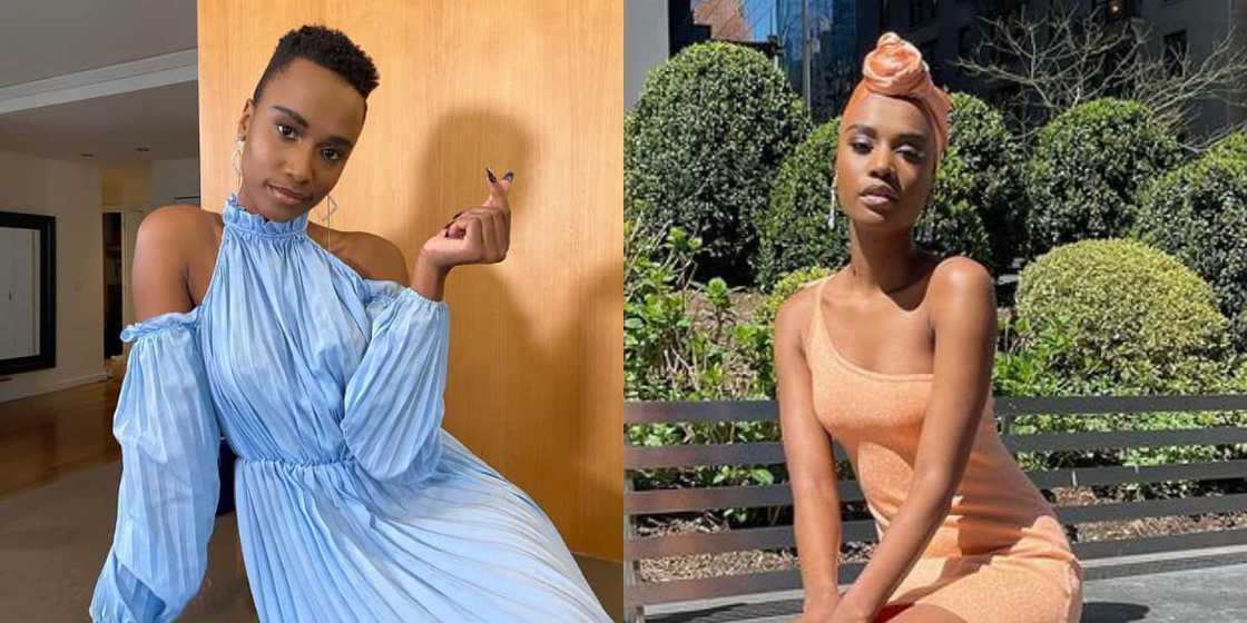 Zozibini Tunzi, lush, luxury, lifestyle, Miss Universe, Mzansi Zozibini Tunzi, lush, luxury, lifestyle, Miss Universe, Mzansi