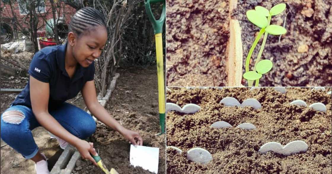 Woman, Seeds, Business, Twitter reactions, Inspiring Woman, Seeds, Business, Twitter reactions, Inspiring