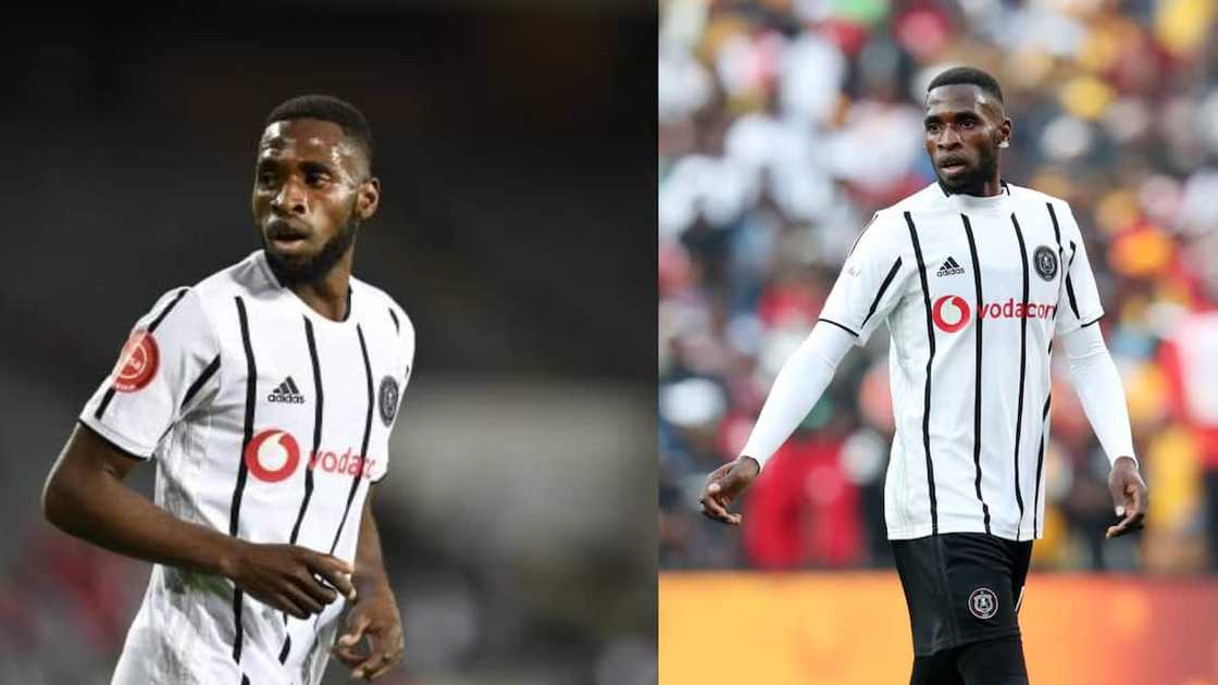 PSL players' girlfriends PSL players' girlfriends