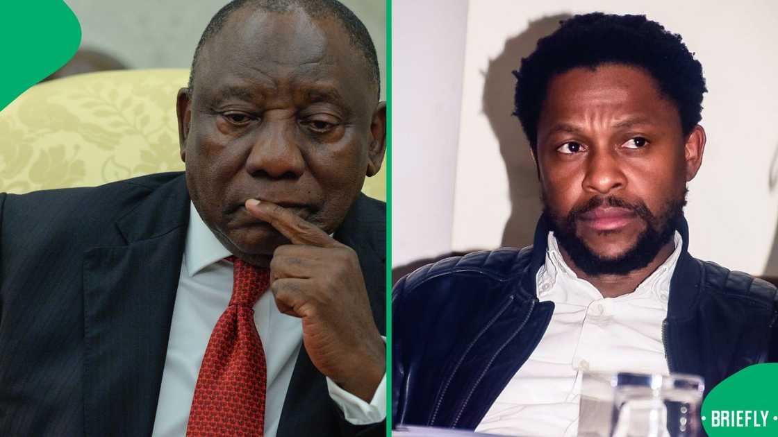 Mbuyiseni Ndlozi warned President Ramaphosa over General Mkhwanazi