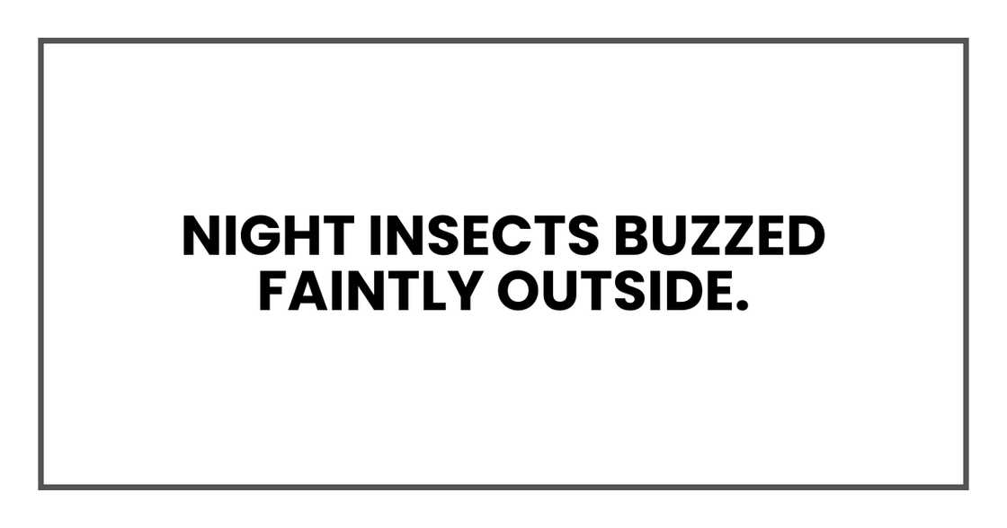 NIGHT INSECTS BUZZED FAINTLY OUTSIDE NIGHT INSECTS BUZZED FAINTLY OUTSIDE