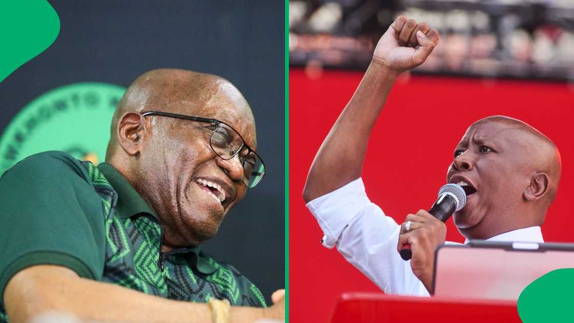 Julius Malema is not afraid of going up against Jacob Zuma. Julius Malema is not afraid of going up against Jacob Zuma.