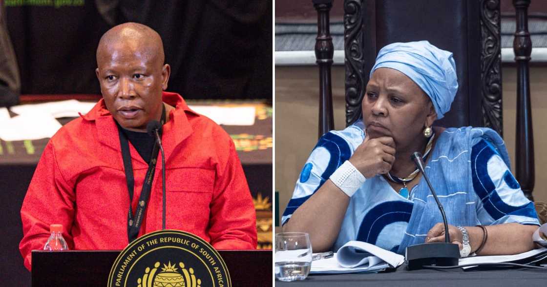 EFF files a motion of no confidence against Nosiviwe Mapisa-Nqakula EFF files a motion of no confidence against Nosiviwe Mapisa-Nqakula