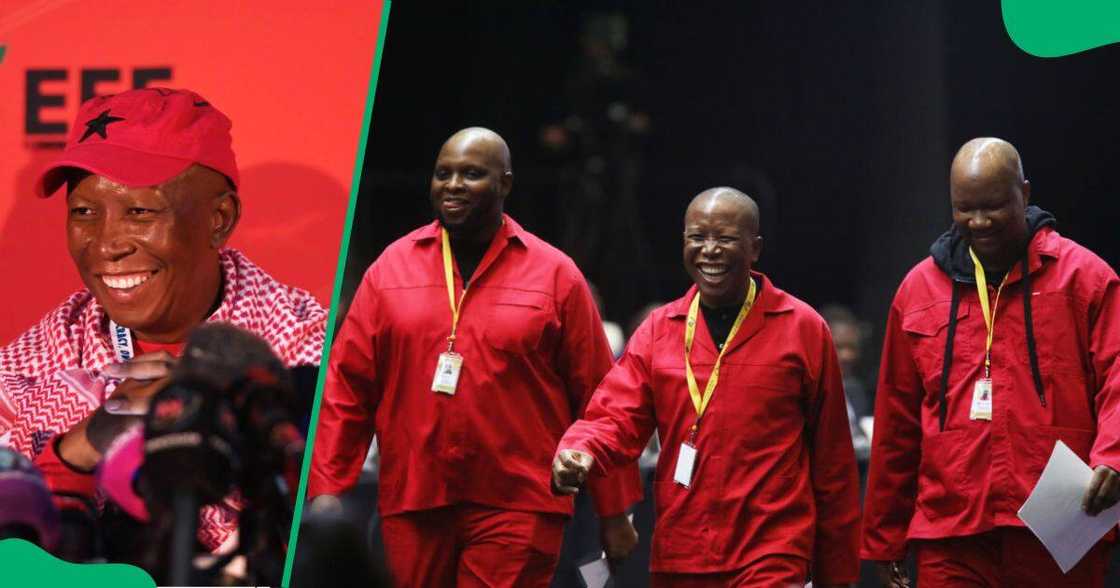 The Economic Freedom Fighters' Julius Malema promised the party would be peaceful in Parliament The Economic Freedom Fighters' Julius Malema promised the party would be peaceful in Parliament