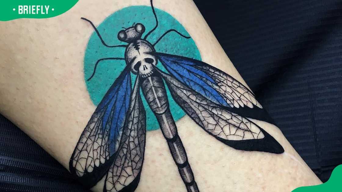 Blue and green dragonfly tattoo Blue and green dragonfly tattoo