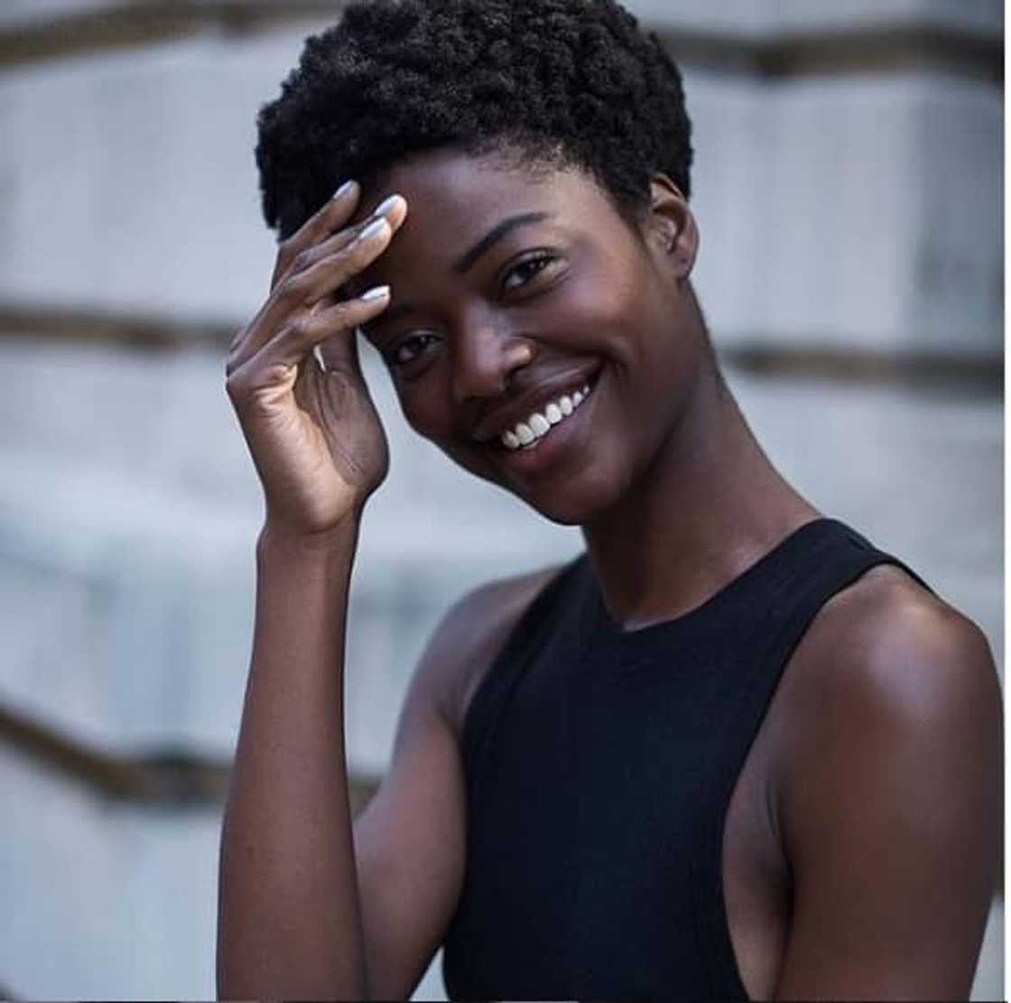 afro hairstyles afro hairstyles