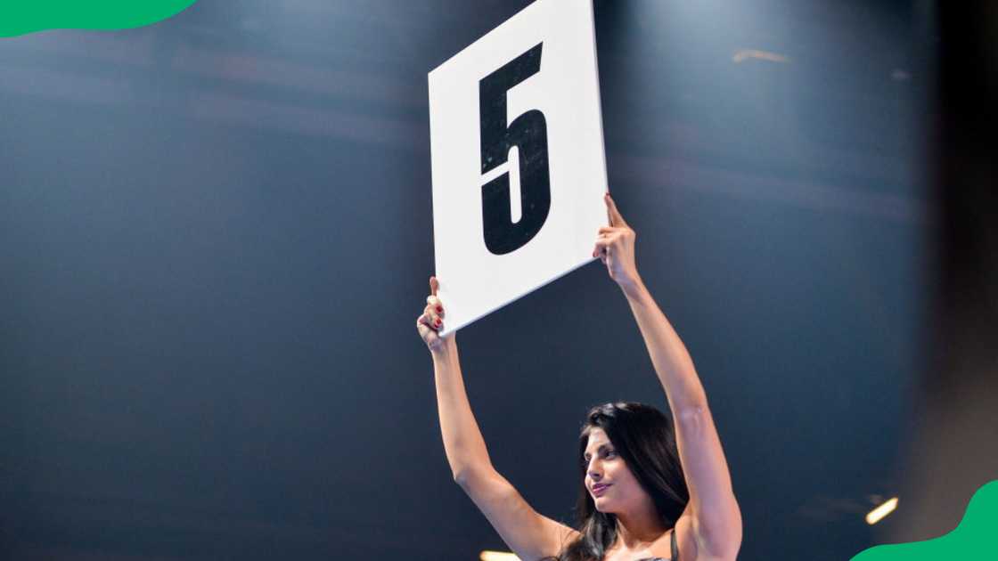 UFC ring girls 2024 UFC ring girls 2024