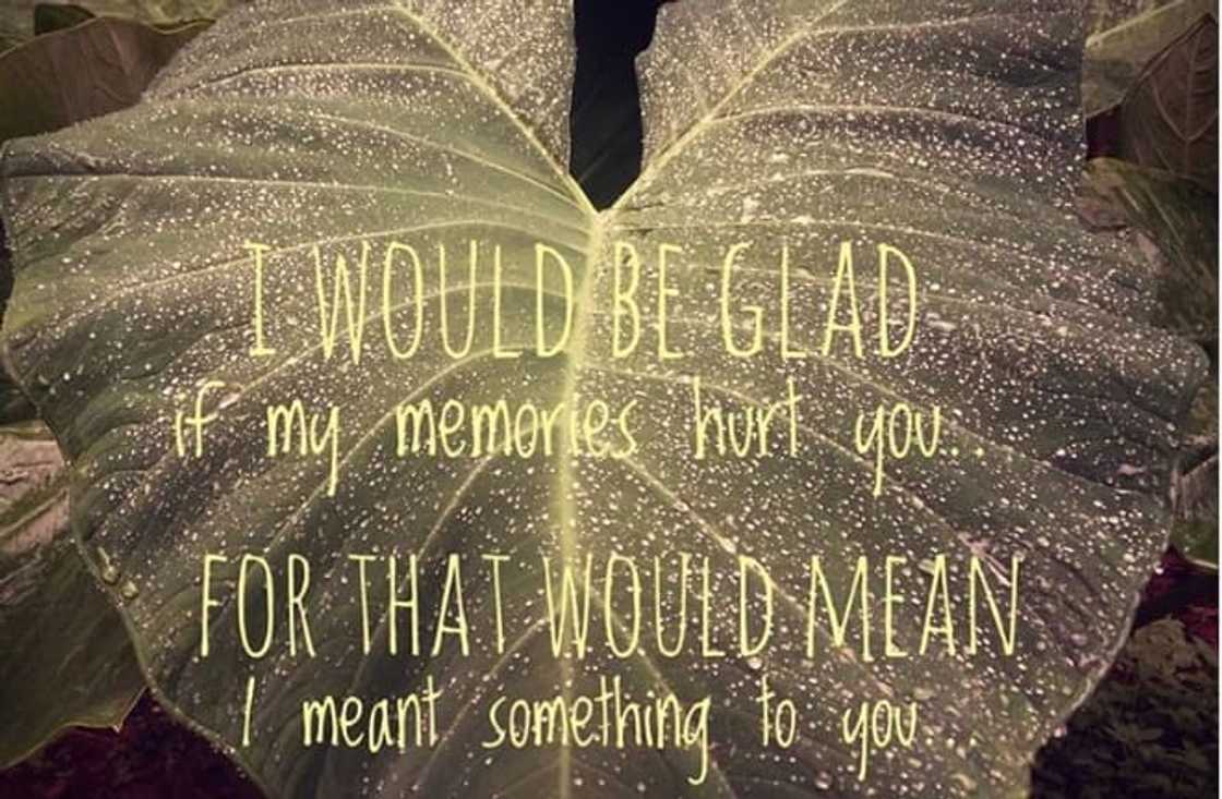just thinking of you quotes just thinking of you quotes